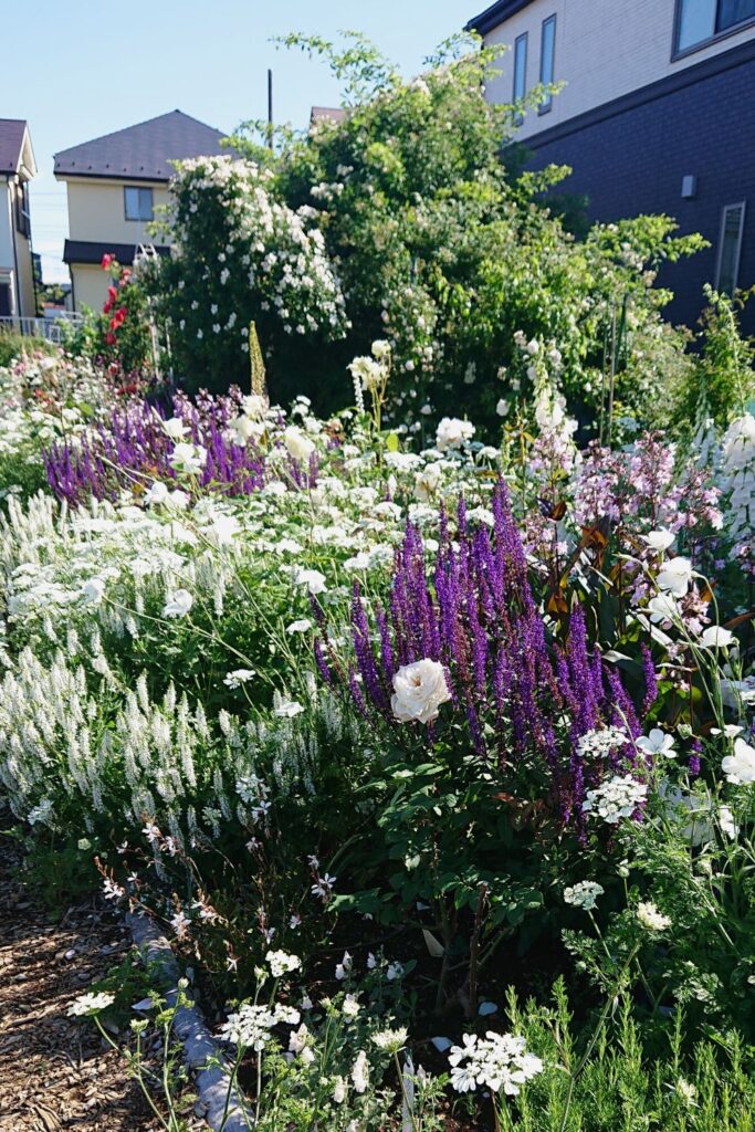 バラと草花の組み合わせ