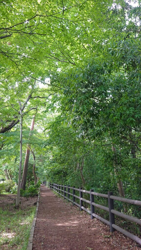 井の頭公園の玉川上水沿道